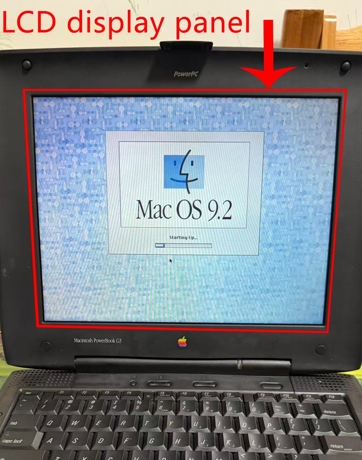 12.1-inch suitable for Macintosh PowerBook G3 LCD screen 800 × 600 (Only LCD)
