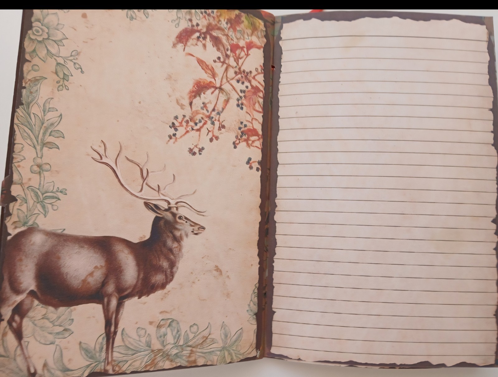Junk Journal Booklet «WOODLAND CREATURES» HANDMADE Forest Life Lg 5.5″x8.5″ 40p