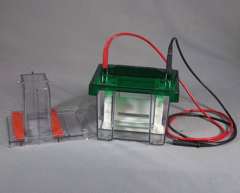 Bio Rad Mini Protean 2 Gel Electrophoresis System with Gel Casting Stand
