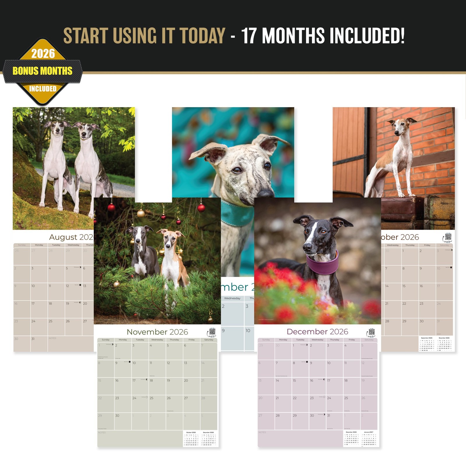 Whippet Dog Breed Calendar 2024 FULL SIZE 12×24 Made in USA