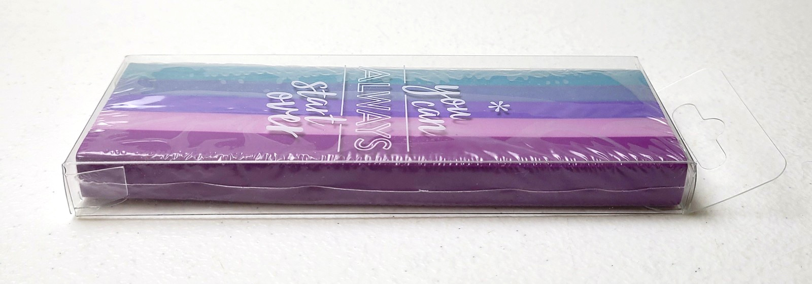 Erin Condren Fall Surprise Box 2020 Striped Large Eraser Exclusive Collectible