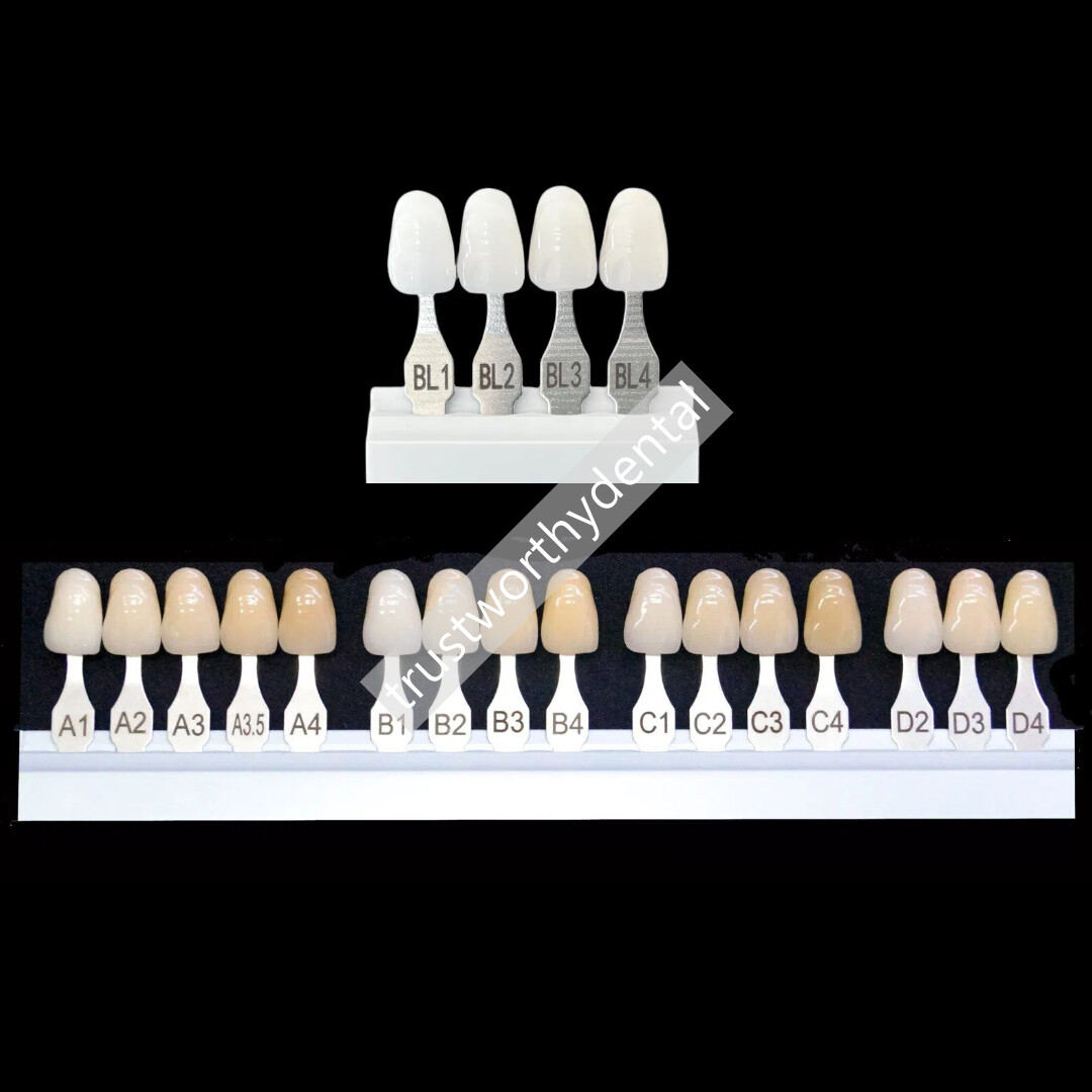 Dental 16 A–D Shade Guide 4 Bleach Shades Bleach Classical Based Vita 20Shades