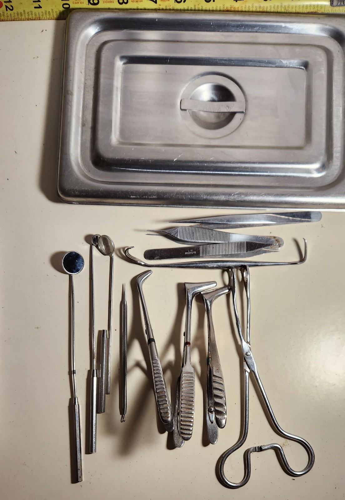 ALPEN 12.0 Dental Instrument Set for Dentistry w/ Stainless Tray & Lid