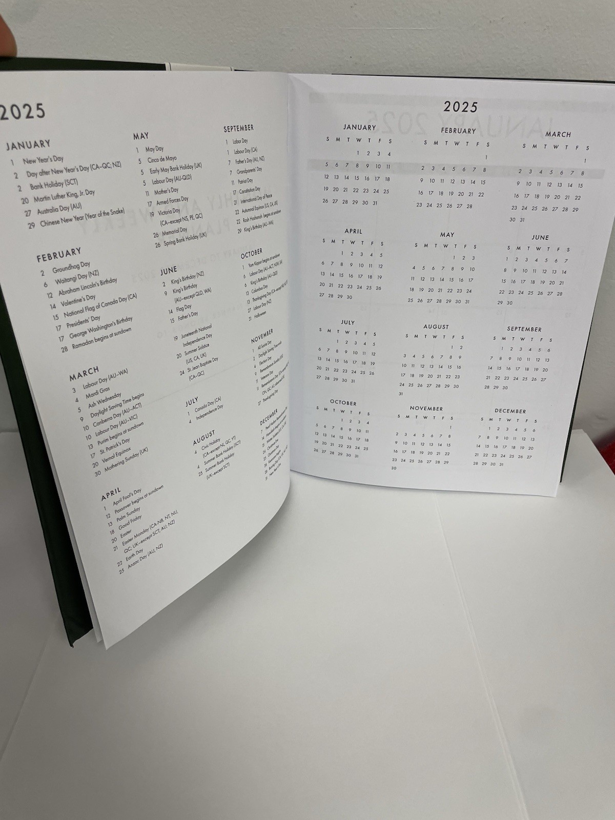 Punch Studio 12 Months Green Floral 2025 Planner Monthly & Weekly Planner