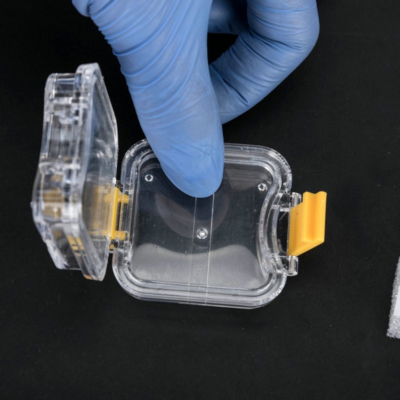 20pcs Denture False Teeth Membrane Case Container Hinged Display Box Jewelry USA