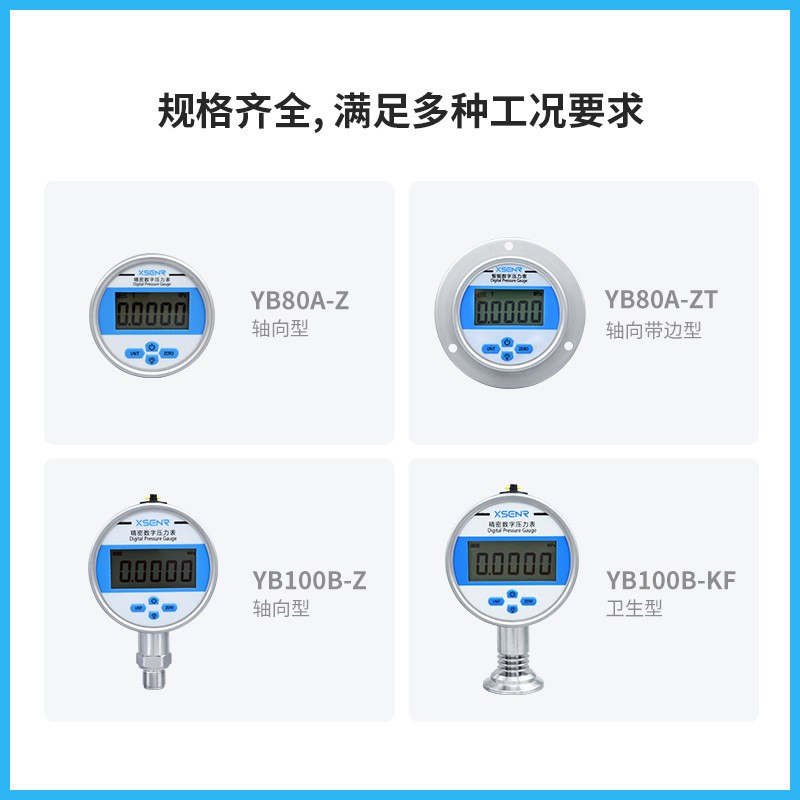 YB-80A Digital Pressure Gauge Peak Memory Positive Negative