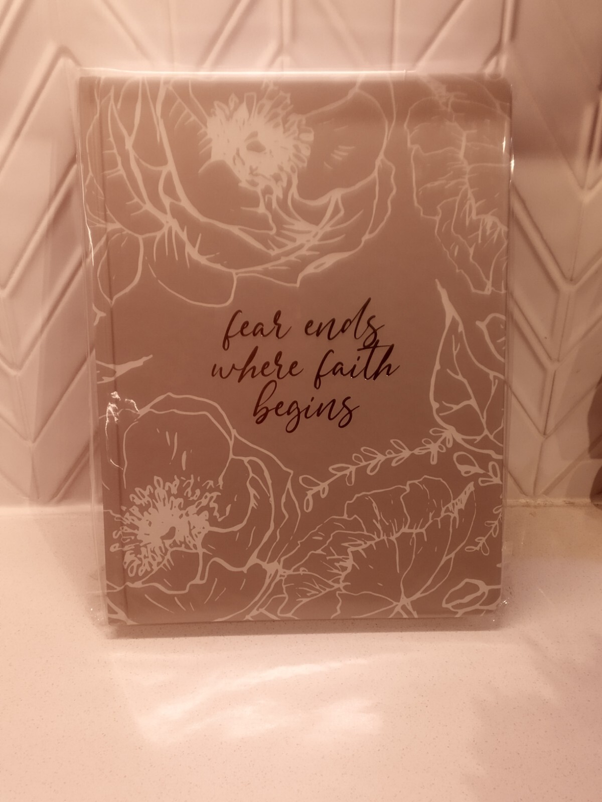 Oliver and Co. Fear ends Where Faith Begins Journal.