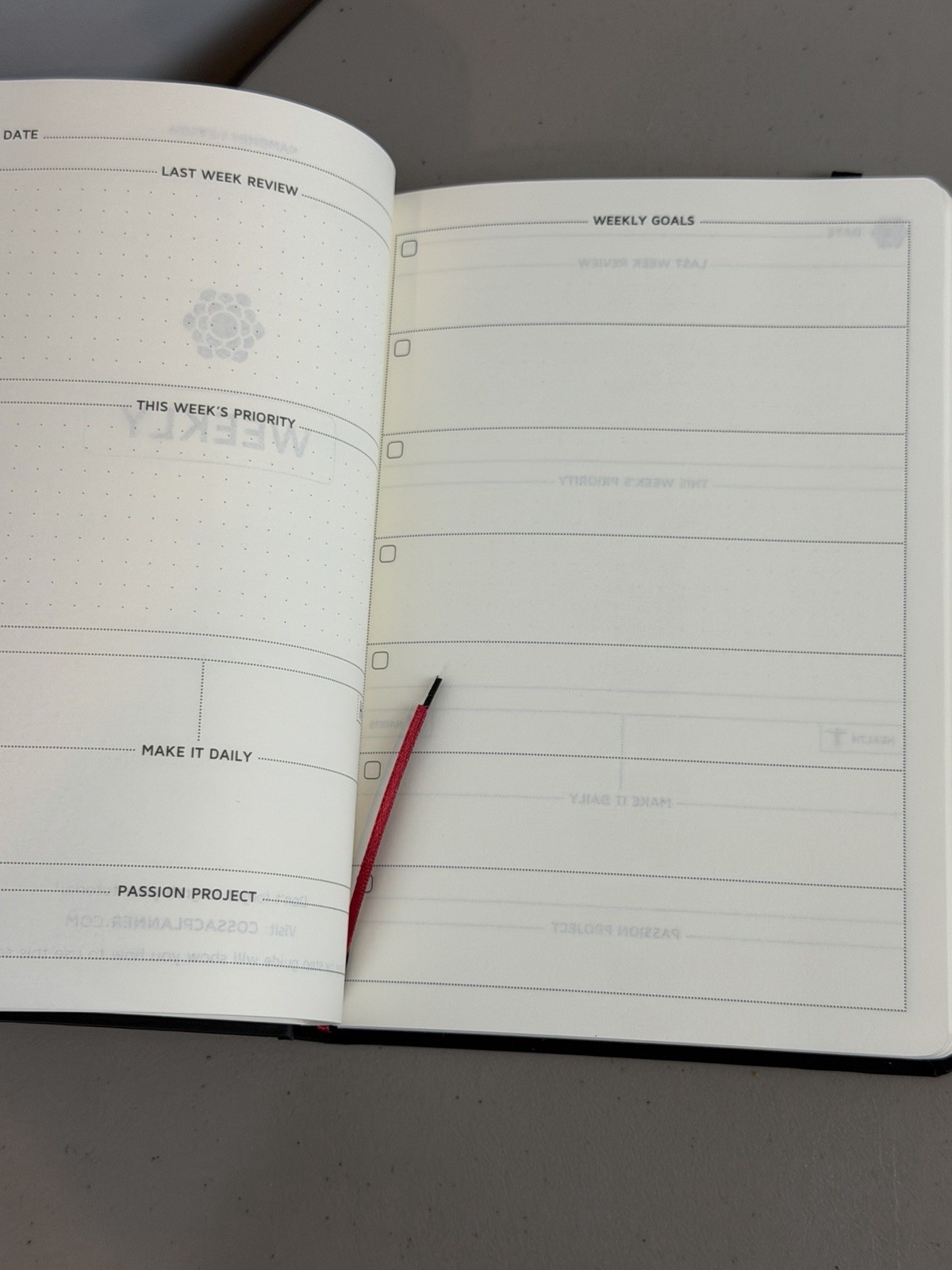 Panda Planner Cossa Planner Daily Monthly Weekly Undated Lot of 2