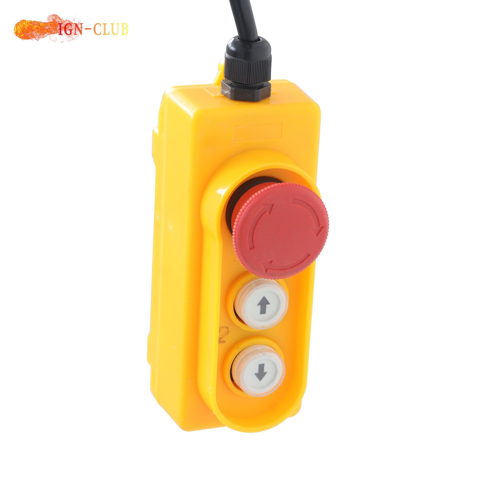 PA600 Mini Hoist 1320lbs/600kg – 4.2m Lift 1200W with Wired Remote Control