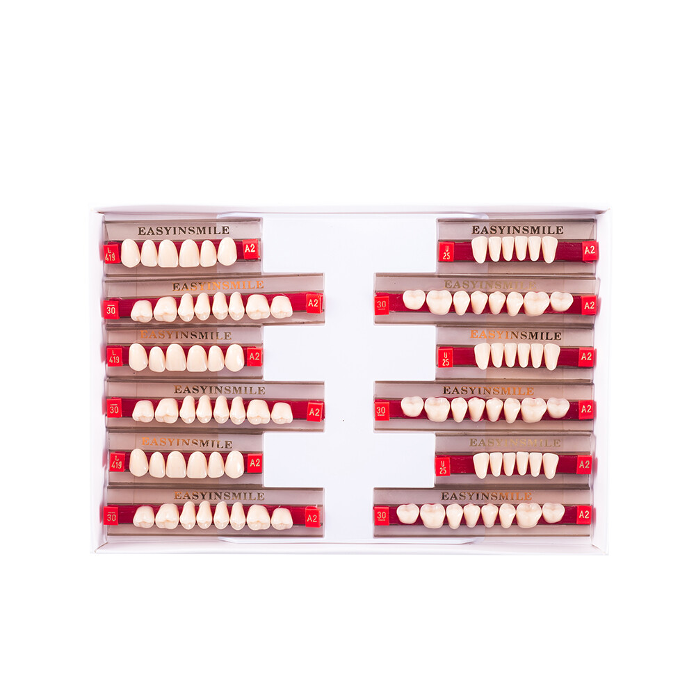 Dental Acrylic Resin Denture False Teeth Anterior DIY Lab A1/A2/A3 U/LFull size