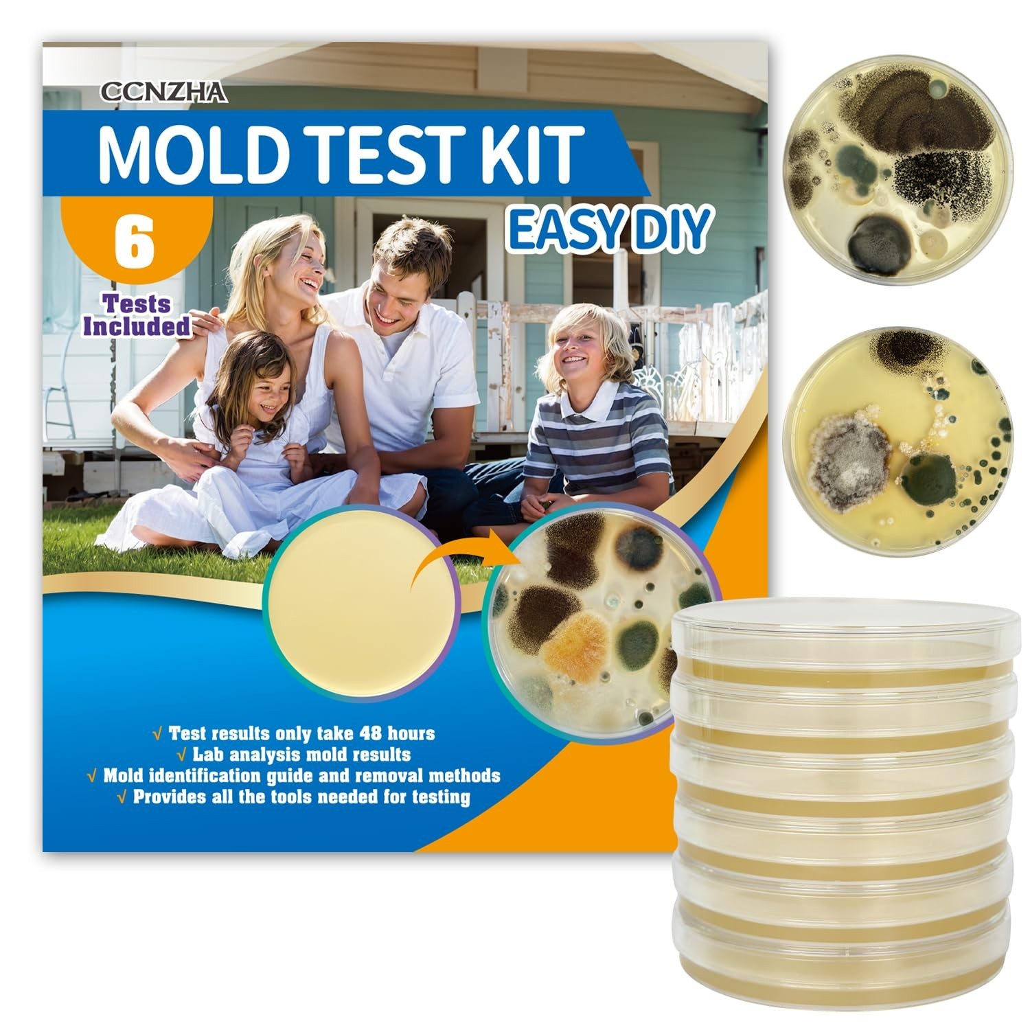 Home Mold Kit – 6 Tests, Black Mold Detector, Free Lab Analysis