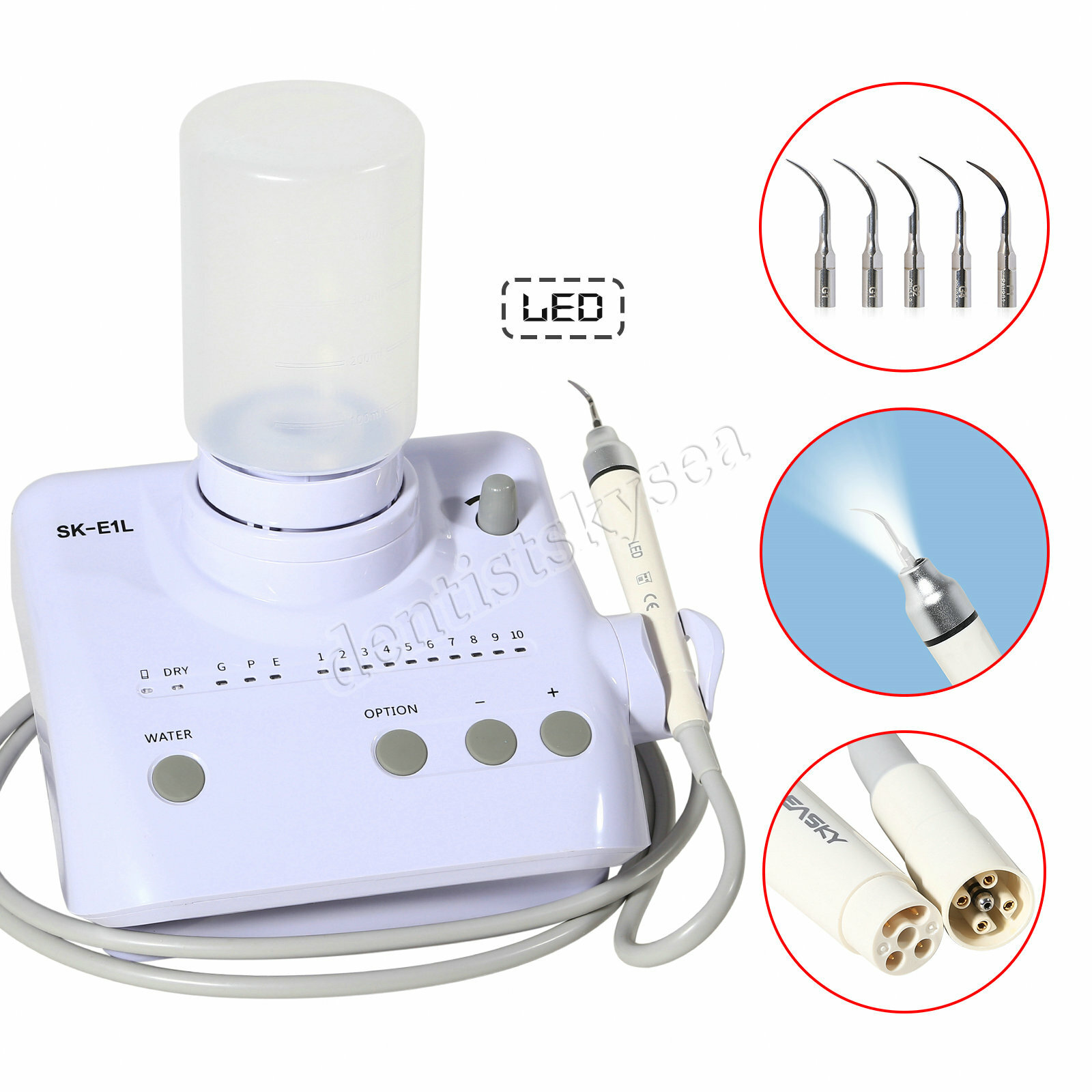 LED Dental Portable Ultrasonic Scaler 2*Bottles Fits EMS Woodpecker Handpiece US