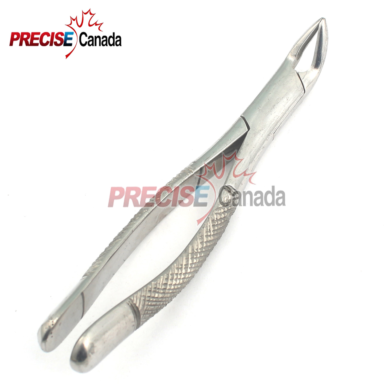 PRECISE CANADA Dental Tooth Extracting Forceps #151 With Serrated Jaw