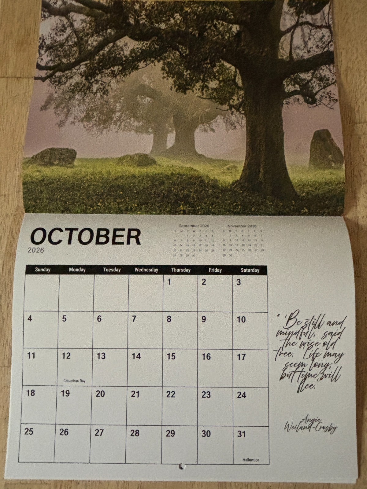 Tree Chronicles – 2026- 12-Month Wall Calendar – Great Tree Photography!