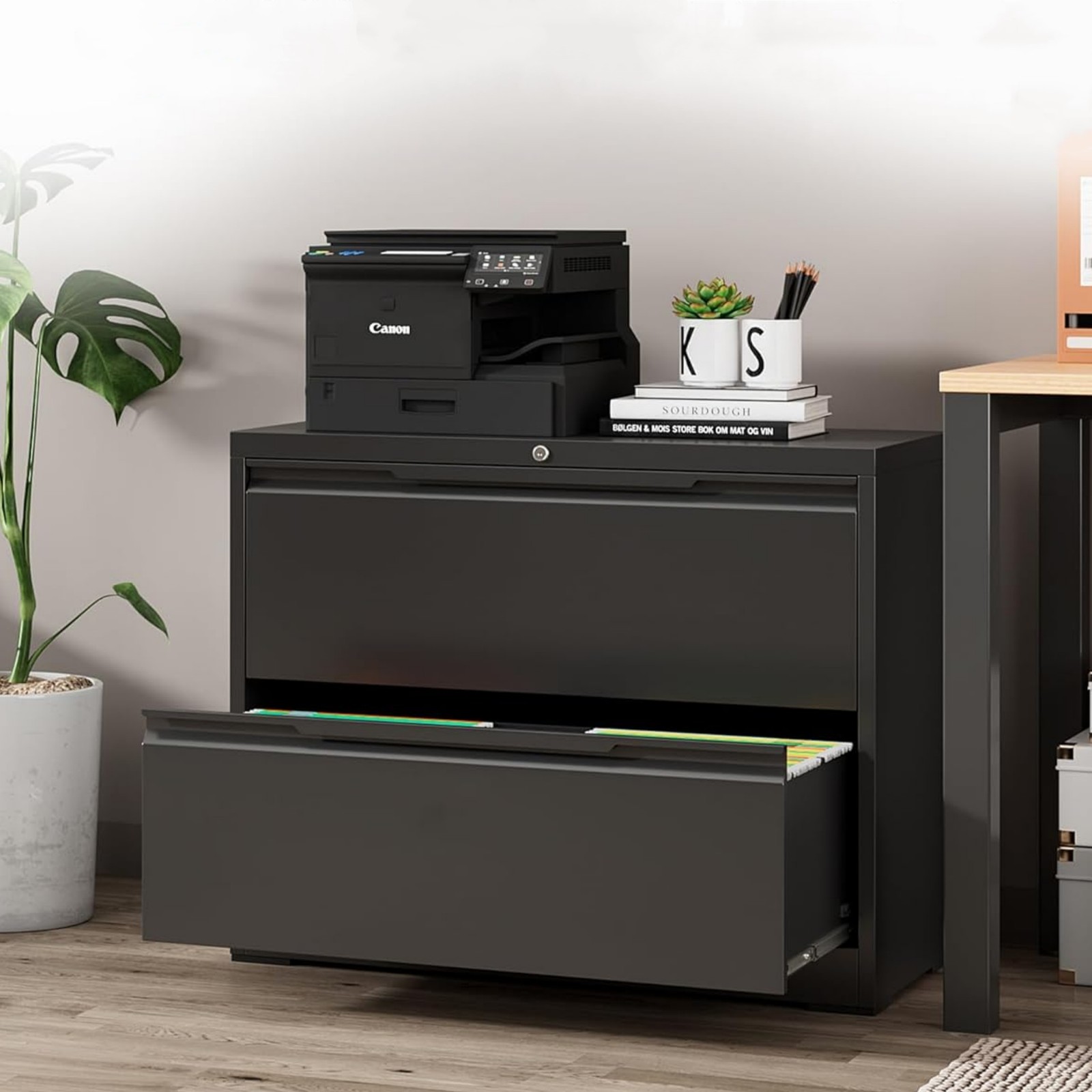 Metal Lateral Filing Cabinet with 2 Drawer Home Office Storage Cabinet Lockable