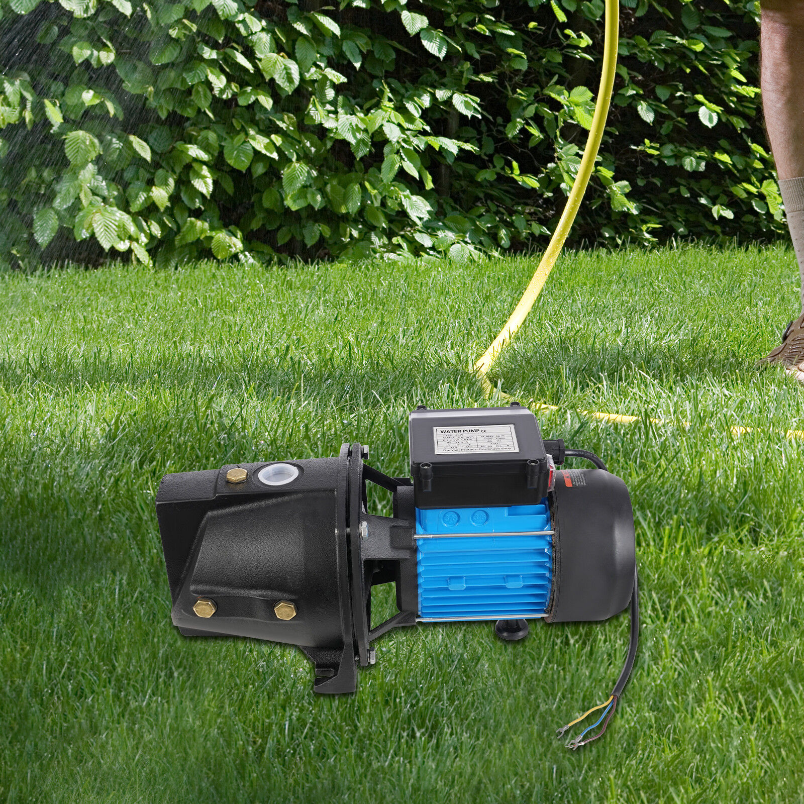 1.6HP Shallow Well Jet Pump, Cast Iron Irrigation Pump for Home Farm Garden Lawn