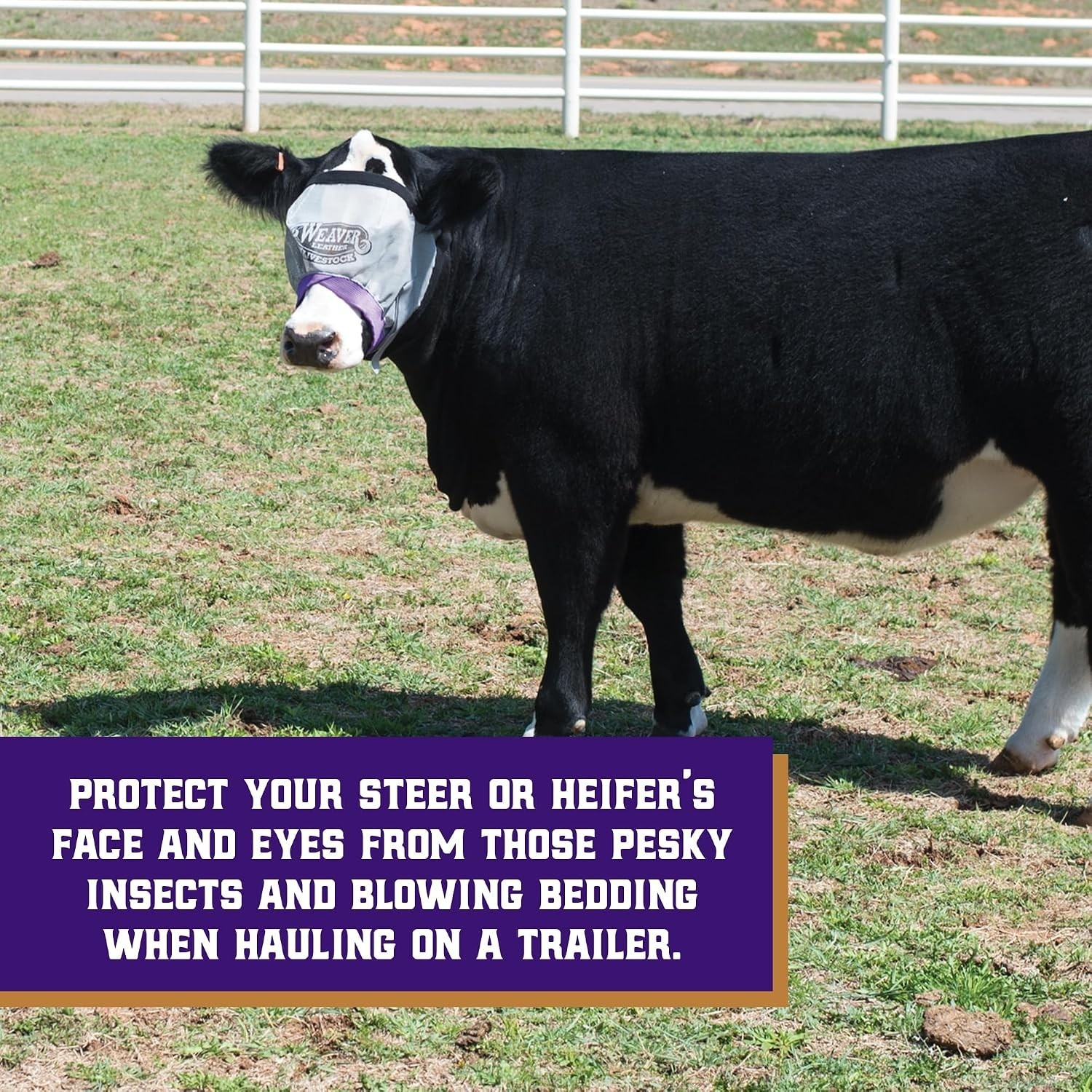 Weaver Leather Weaver Livestock Cattle Fly Mask Adjustable Mesh-Covered Cow