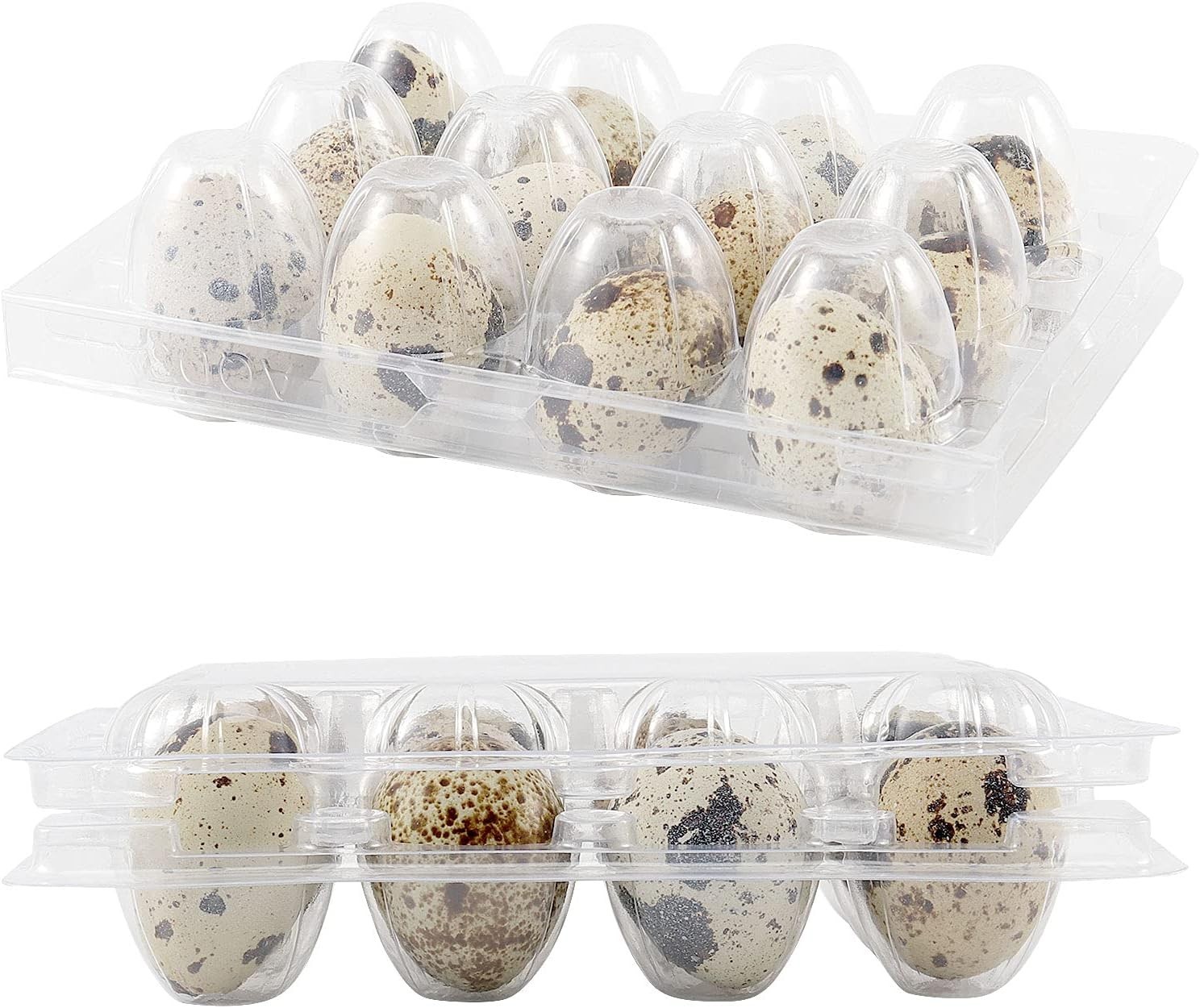 50 PCS Clear PVC Quail Egg Cartons – Stackable & Lightweight Storage