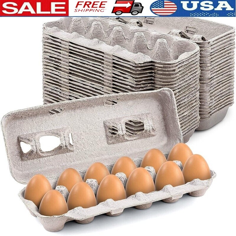Blank Egg Cartons Bulk Recycled Pulp Holds 12 Perfect Storage Crafts Reusable US