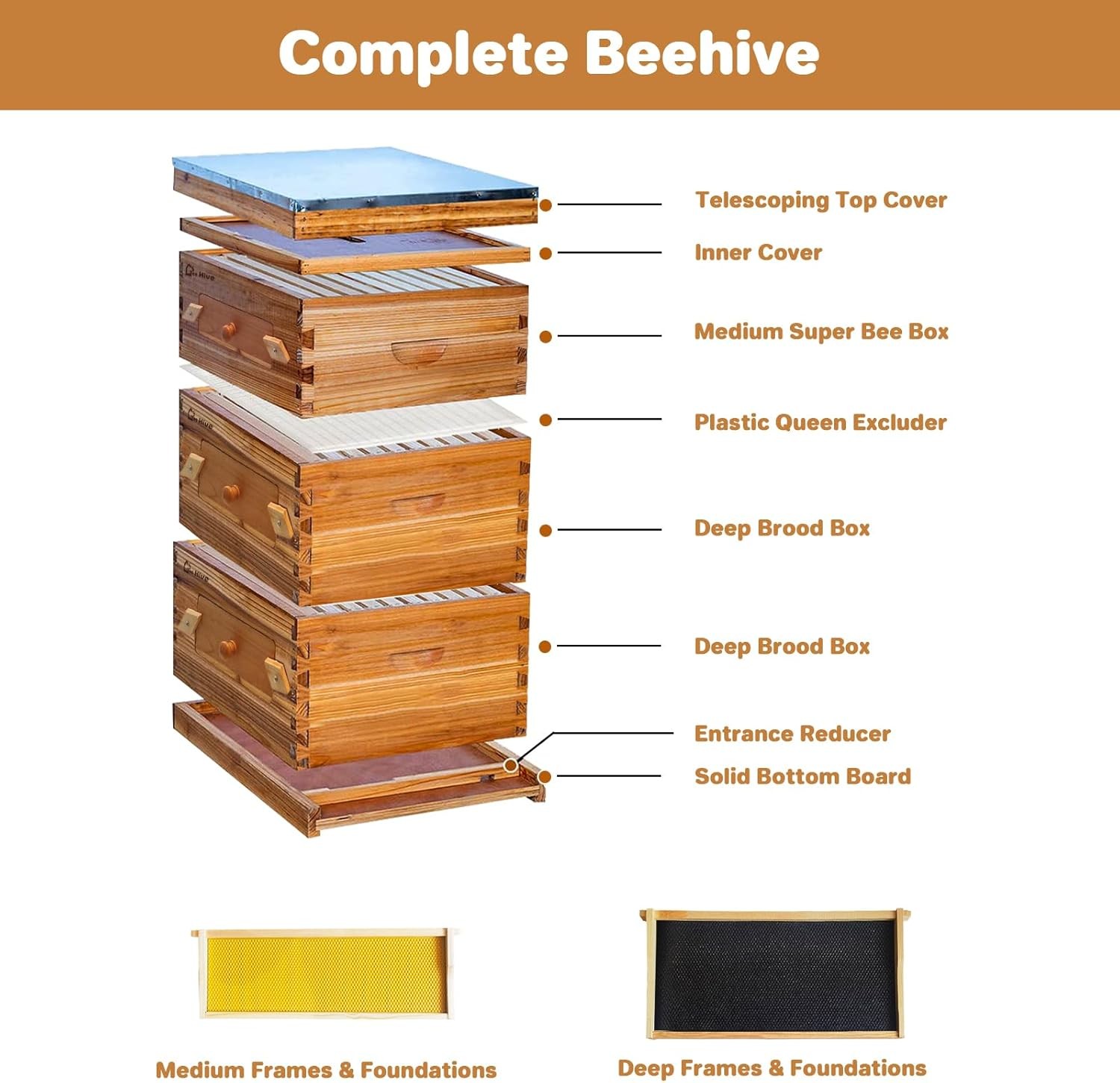 10 Frame Bee Hive Kit with Beeswax Coating, 2 Deep & 1 Medium Box for Beginners