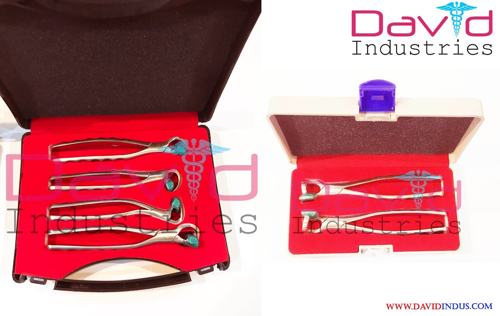 6 PCs Set Dental Physics Forceps Standard Series Plus Molar 100 BUMPERS Free