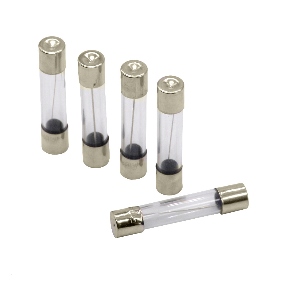 [10x] 10A 250V Fast Blow Fuse Glass Tube Fuse 10 Amp Fuse 6X30mm