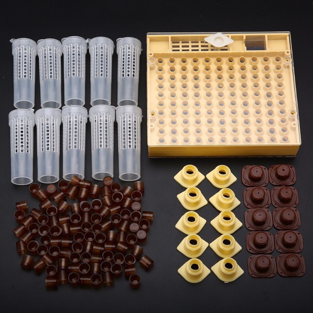 New Nicot-20 Queen rearing kit, Queen bee raising system, Queen bee breeding set