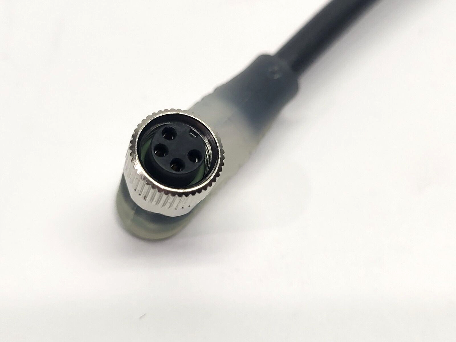 Balluff BCC02N9 Single-Ended Cordset BCC M324-0000-10-008-PX0434-050