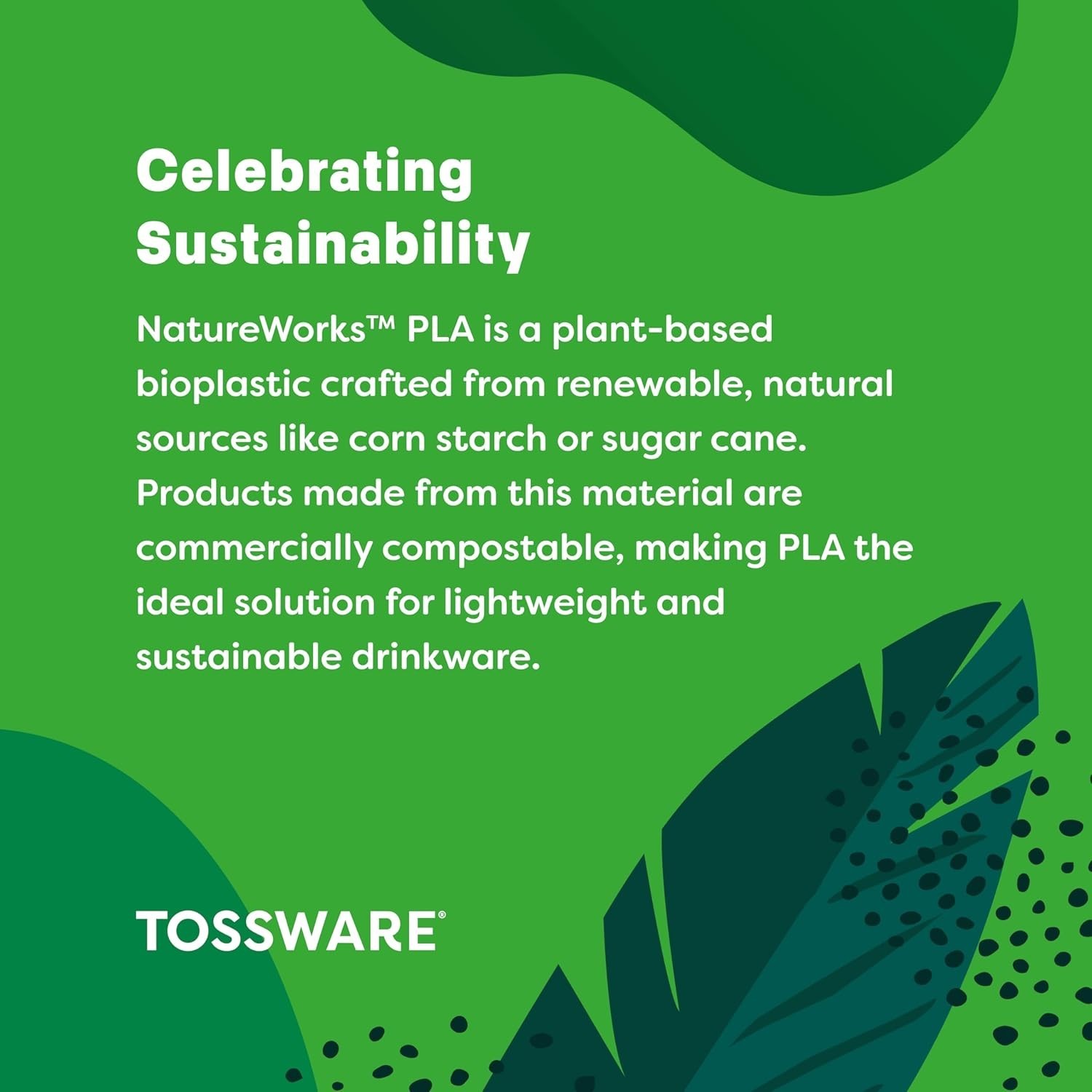 TOSSWARE NATURAL Arc – Plant Based Clear Cold Cups 12 oz –