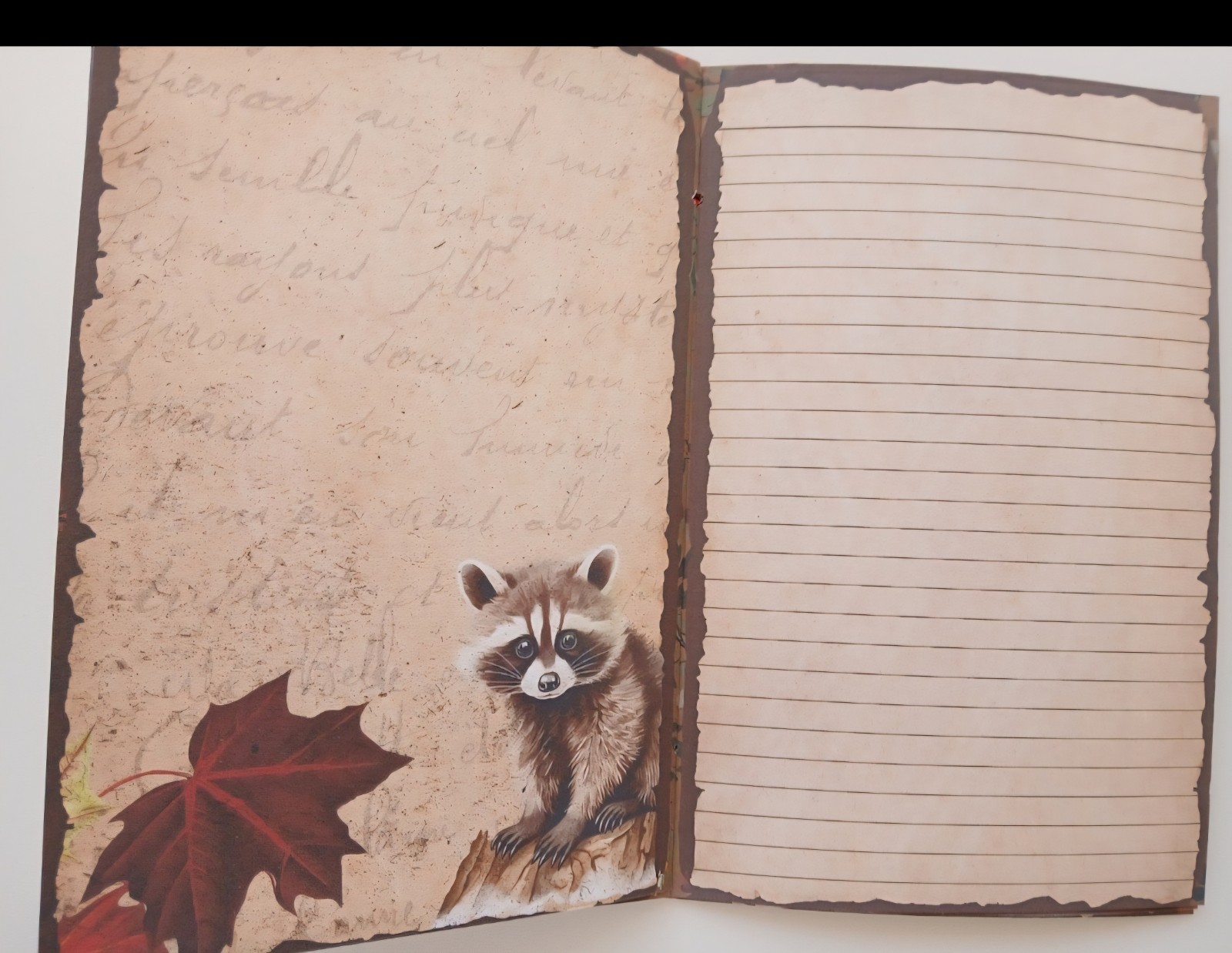 Junk Journal Booklet «WOODLAND CREATURES» HANDMADE Forest Life Lg 5.5″x8.5″ 40p