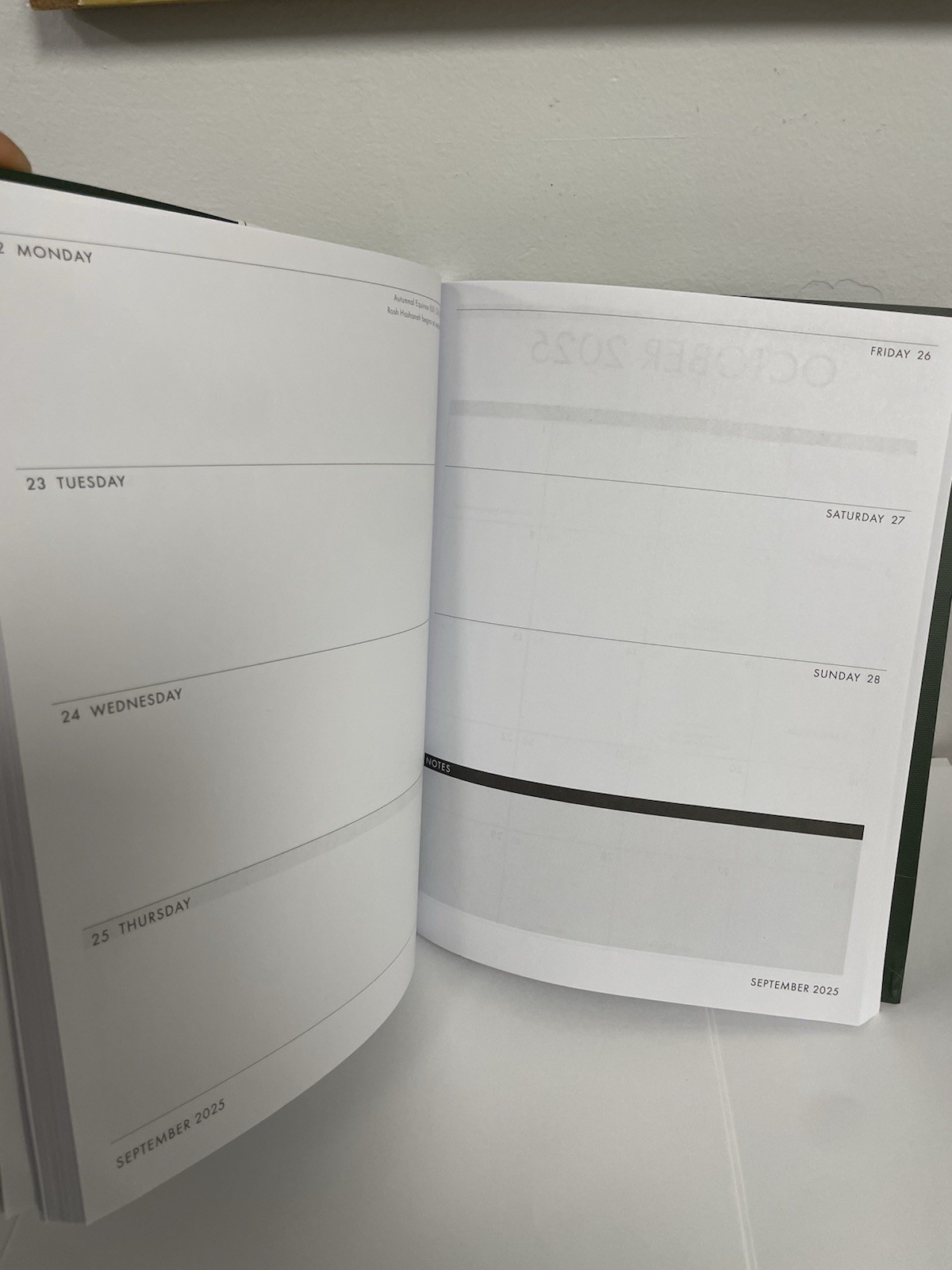 Punch Studio 12 Months Green Floral 2025 Planner Monthly & Weekly Planner