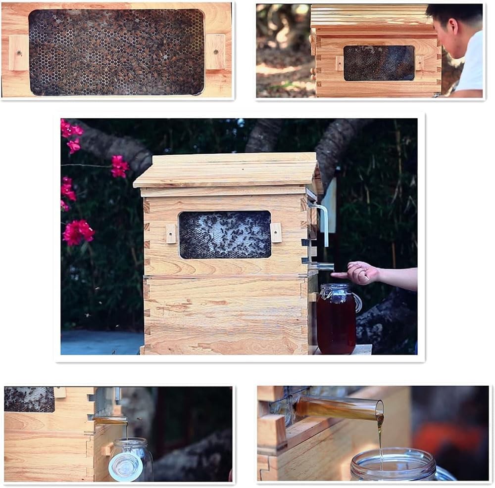 Large Size Bee Hive Beekeeping Kit Wooden bee hive House with 7 Auto Ooze Frames