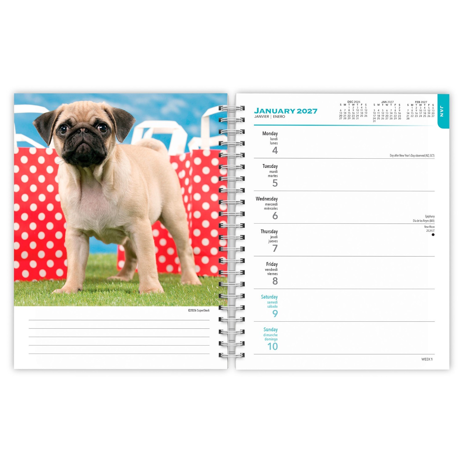 I Love Puppies | 2027 6×7.75″ Spiral-Bound Wire-O Engagement Planner Calendar
