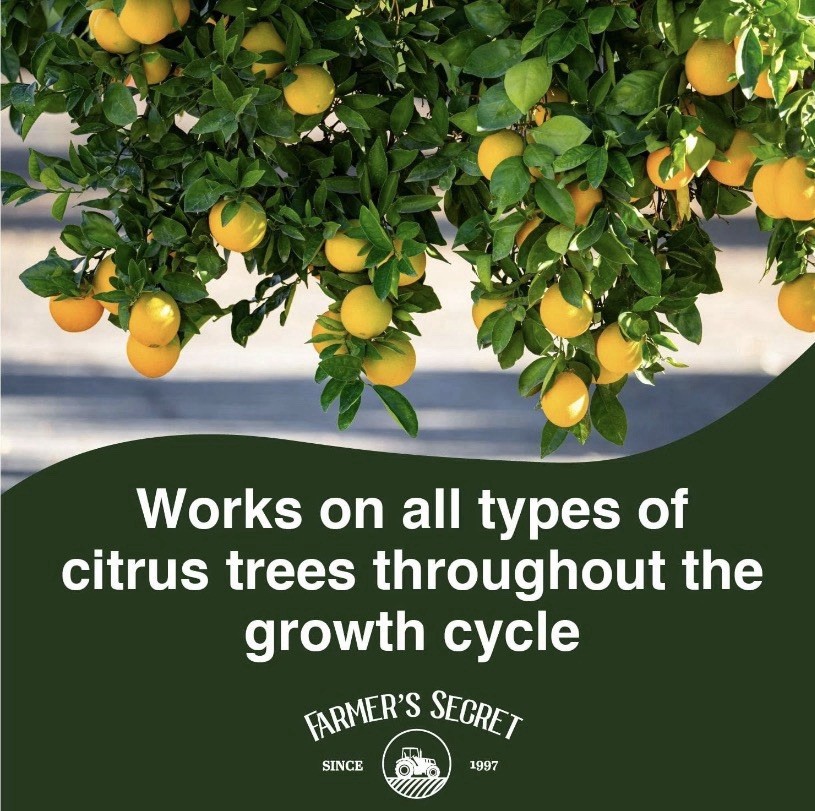 Citrus Tree Booster Fertilizer (32oz) – Super Concentrated 100% ORGANIC NON GMO