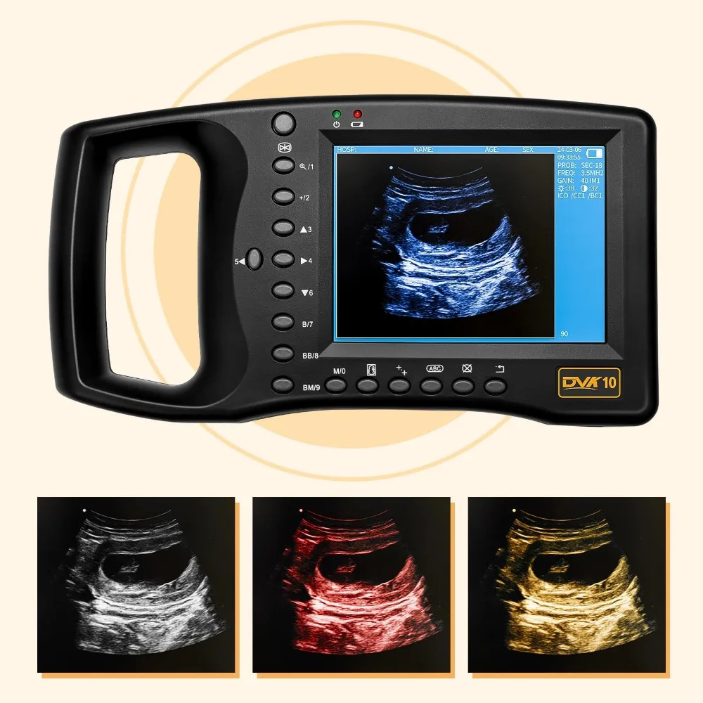 Veterinary Ultrasound Machine Lightweight Portable Design for Pregnant Animal