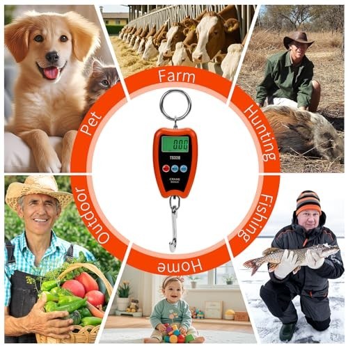 Digital Crane Scale 300kg/660lbs 200kg/440lbs with LED Handheld Mini Hanging