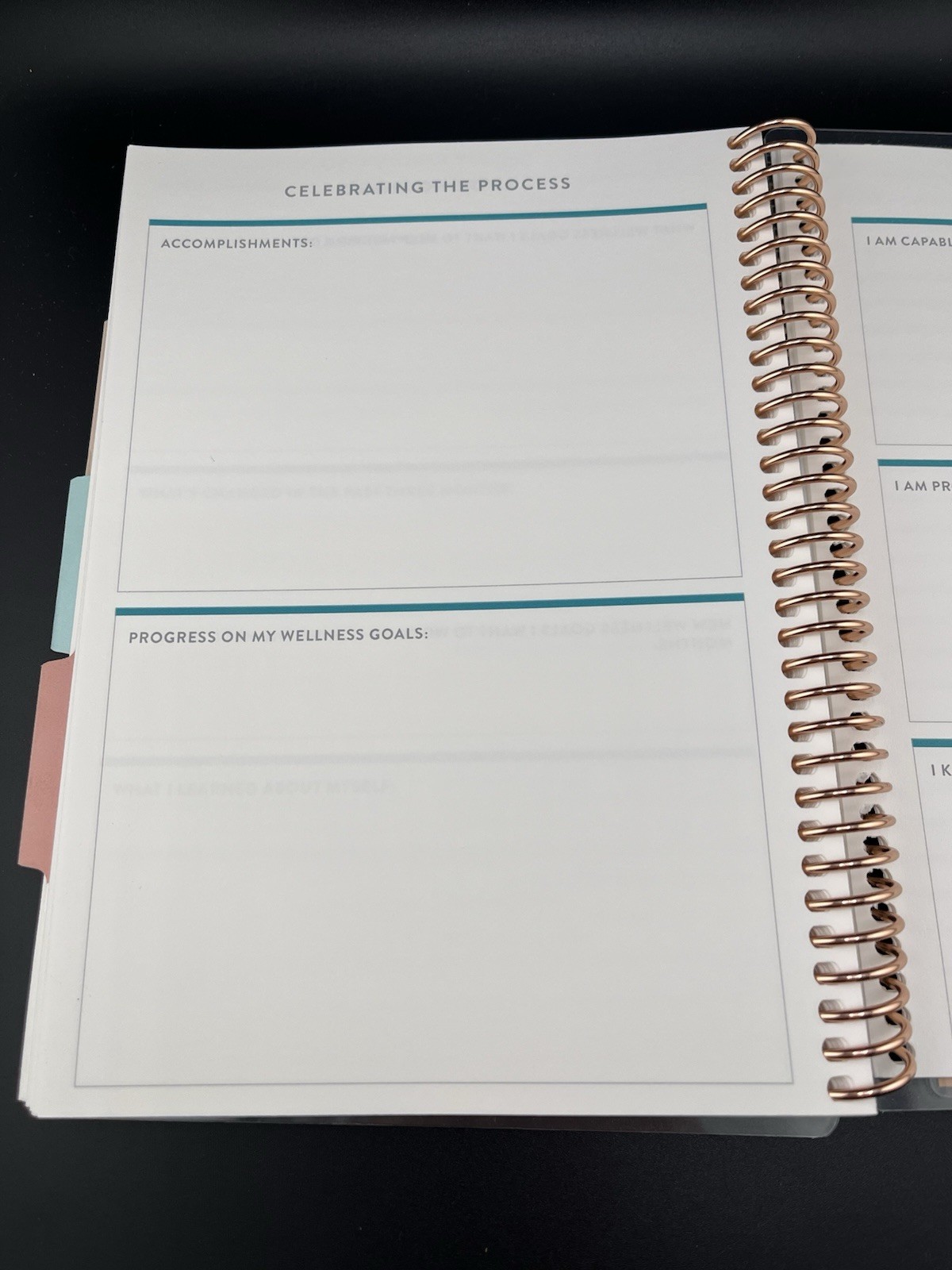 Erin Condren Pink Coiled Daily Wellness Journal You Have What It Takes Planner