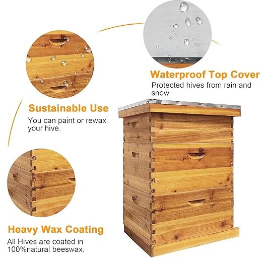 3 Layers Beehive Complete Box Kit Langstroth Beekeeping 2 Deep and 1 Medium