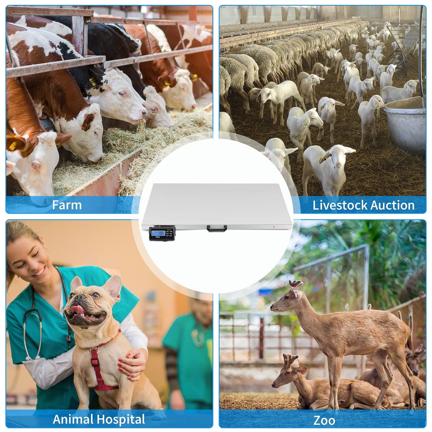 1100Lbs Capacity Stainless Steel Digital Animal Scale, Multi-Units (kg/oz/lb)