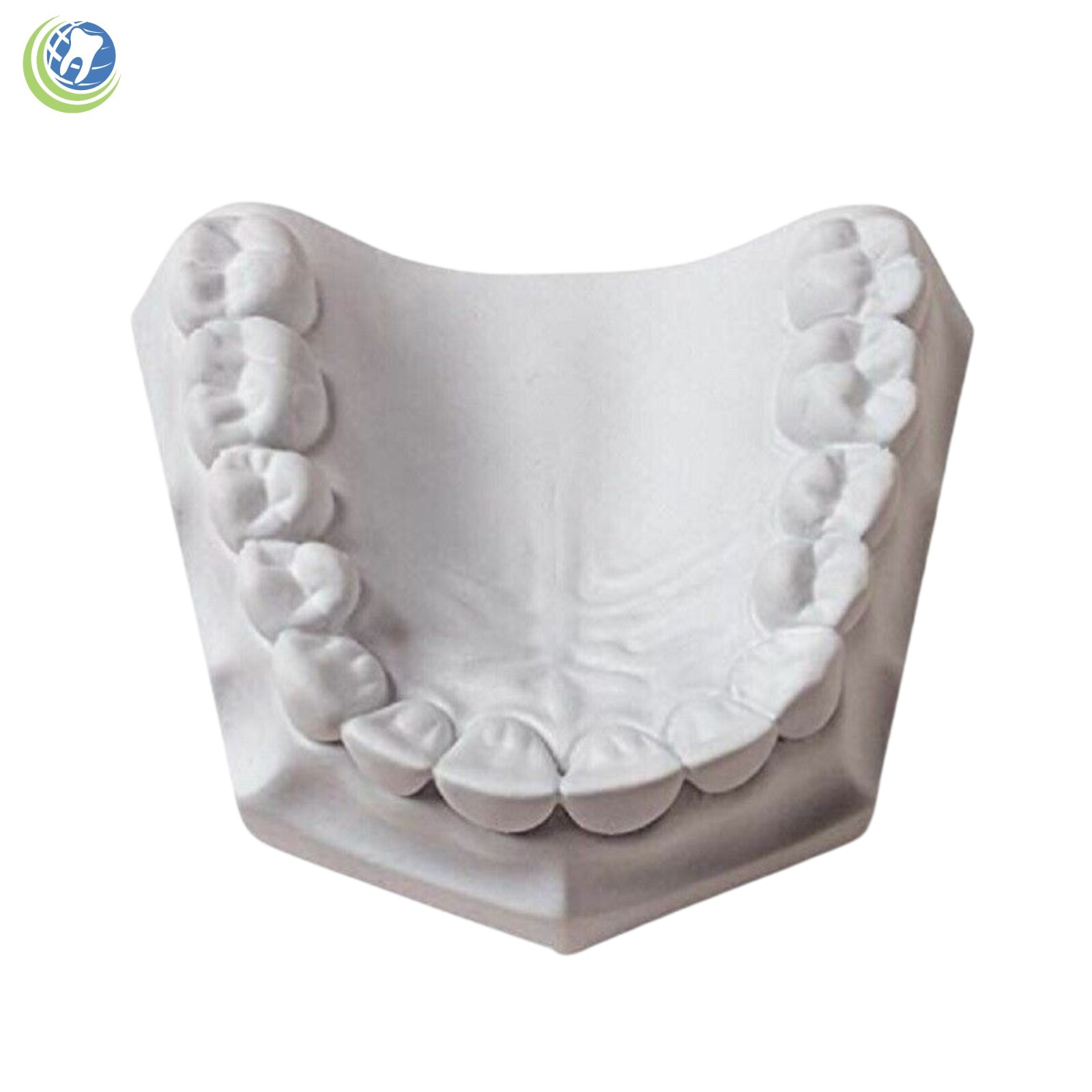DENTAL LAB PLASTER CREAMY WHITE TYPE II REGULAR SET 5 Lbs.