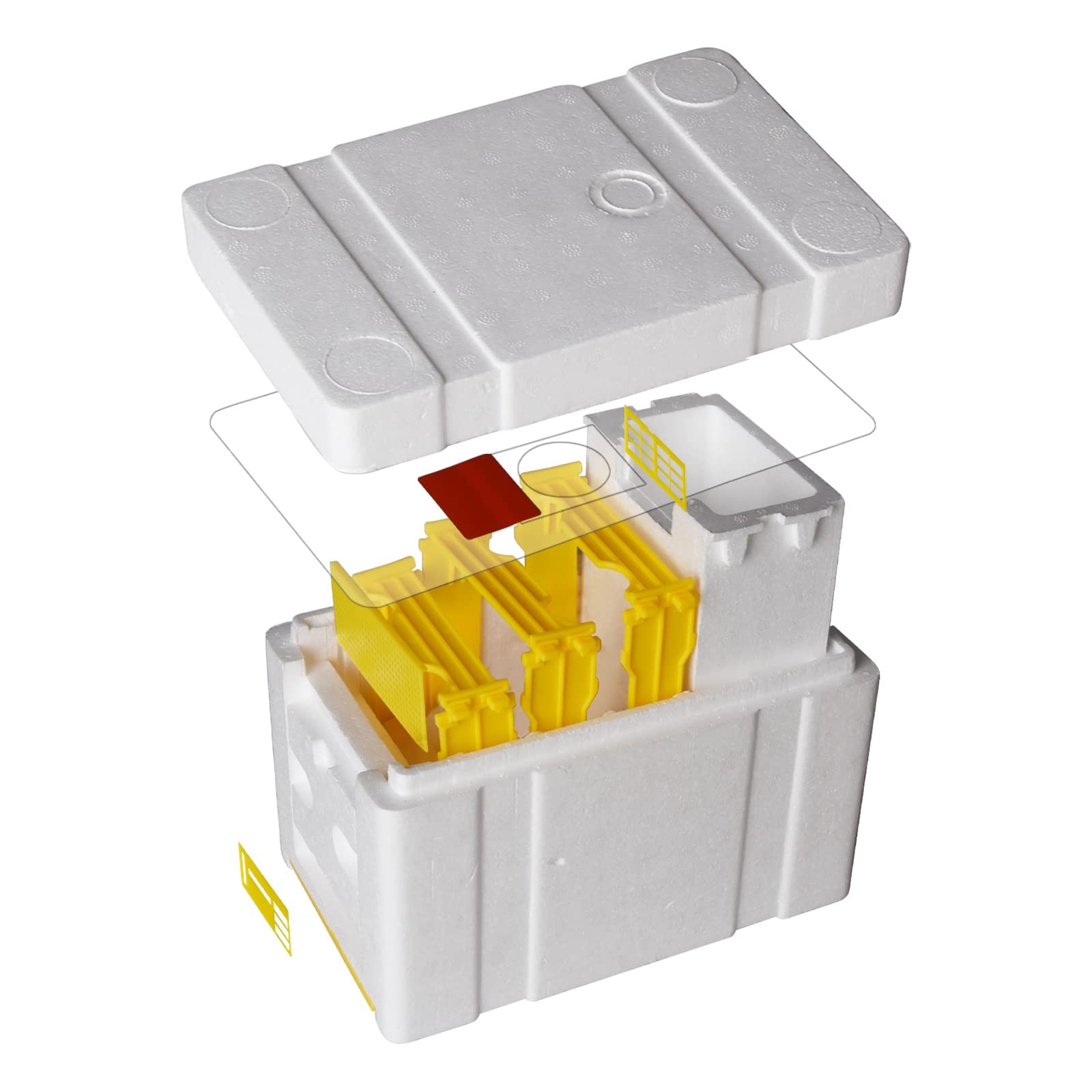 1set Nuc Box for Bees,Foam Beehive Kit with 3 Plastic Frames & 1 Feeder, Quee…