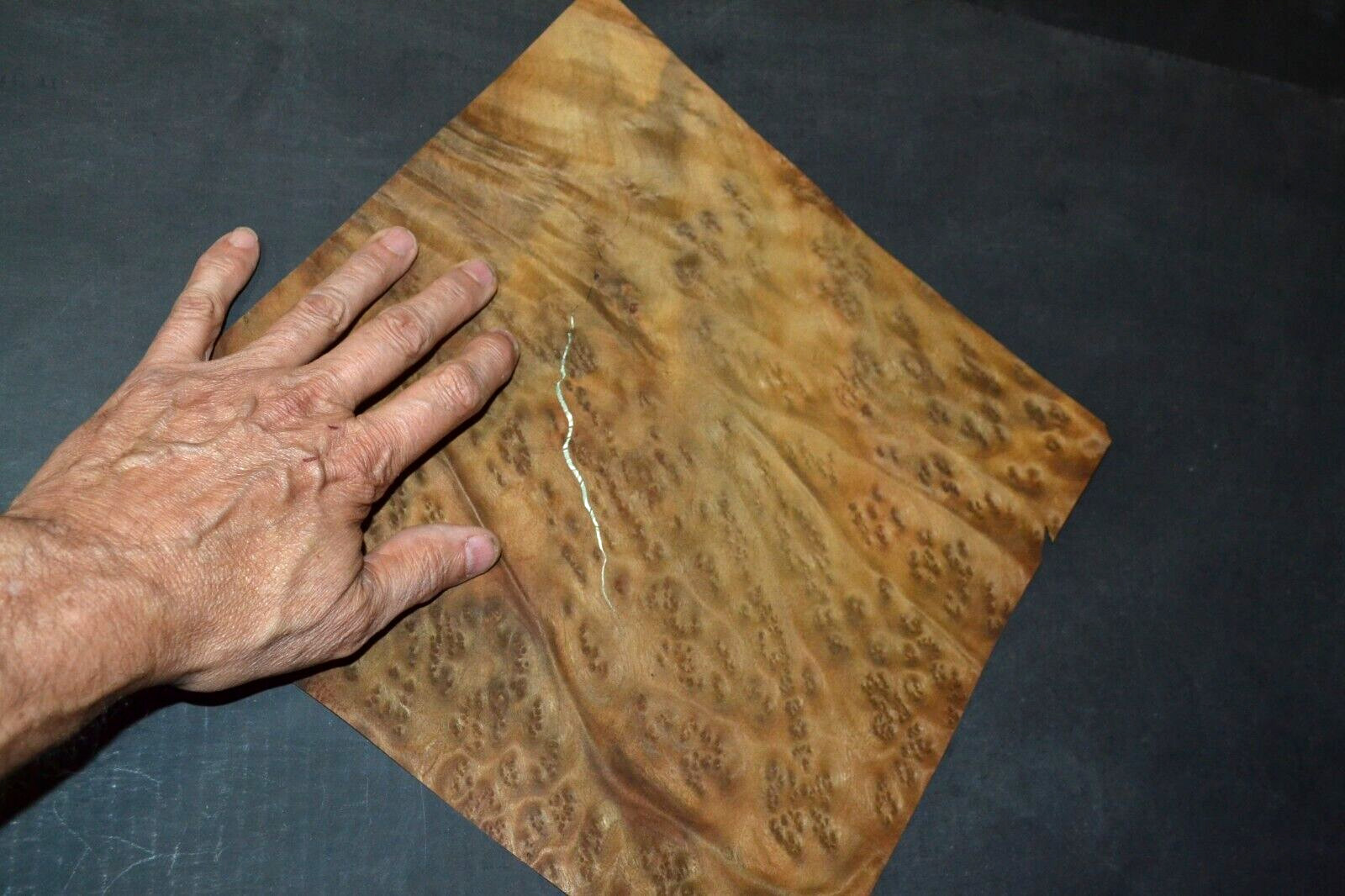 Camphor Burl Raw Wood Veneer Sheet 12 x 12 inches 1/42nd thick 4672-81