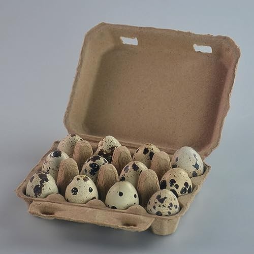 50 PCS Quail Egg Pulp Cartons – 3 x 4 Square Paper Pulp Egg Cartons Dozen Che…
