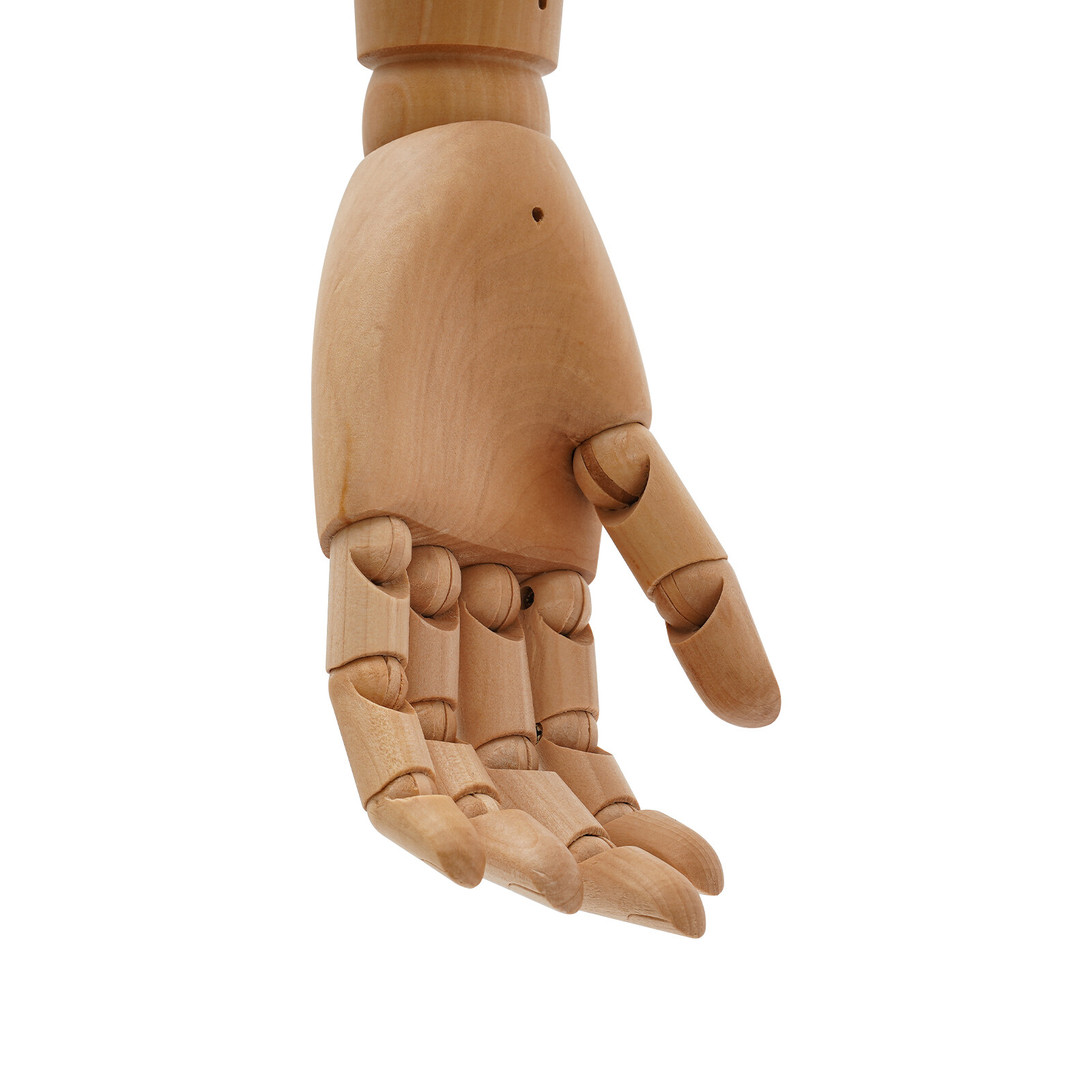 Half Body Mannequin Display Male Dress Form Adjustable Height Head & Hand Turn