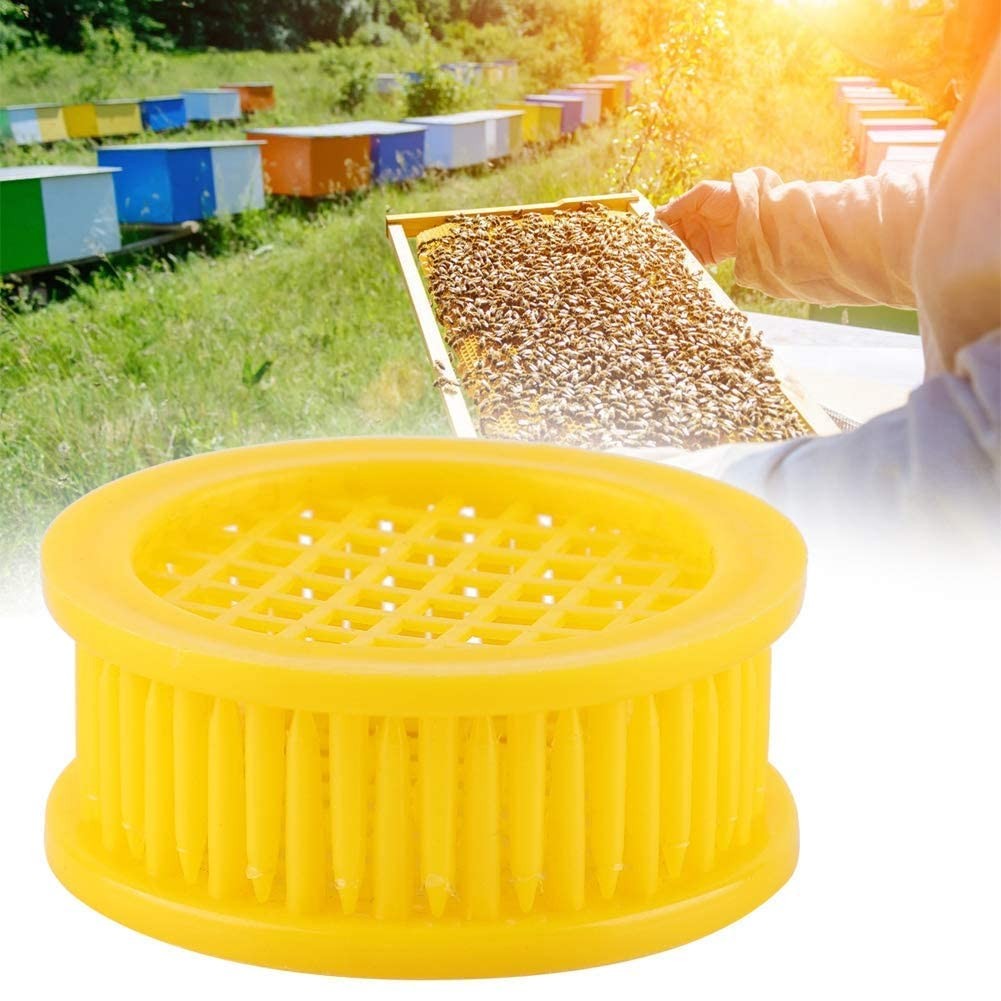 6Pcs Plastic Queen Bee Cage Rearing Box Beekeeping Queen Catcher Isolator