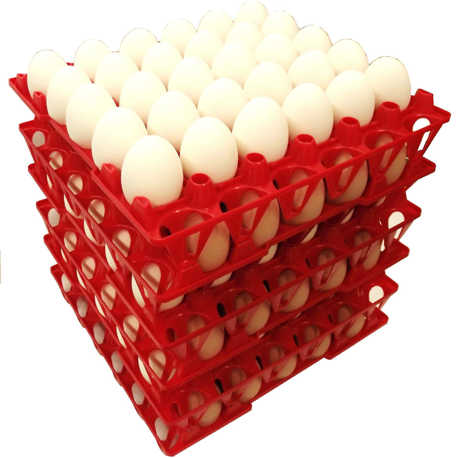 72 RITE FARM PRODUCTS 30 EGG PLASTIC CHICKEN TRAYS SHIPPING CARTON POULTRY FLAT