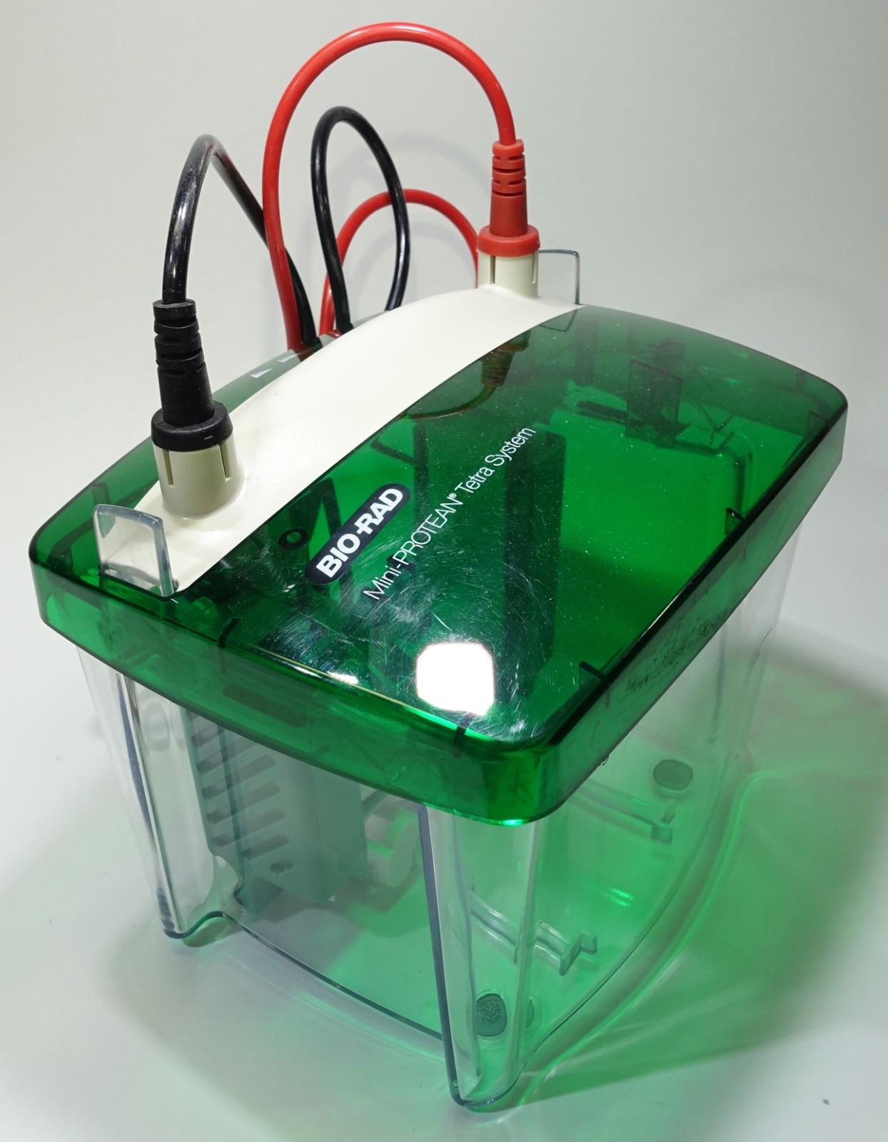Bio-Rad Mini-PROTEAN Tetra Cell SDS-PAGE System, 2 Gels; Great Condition