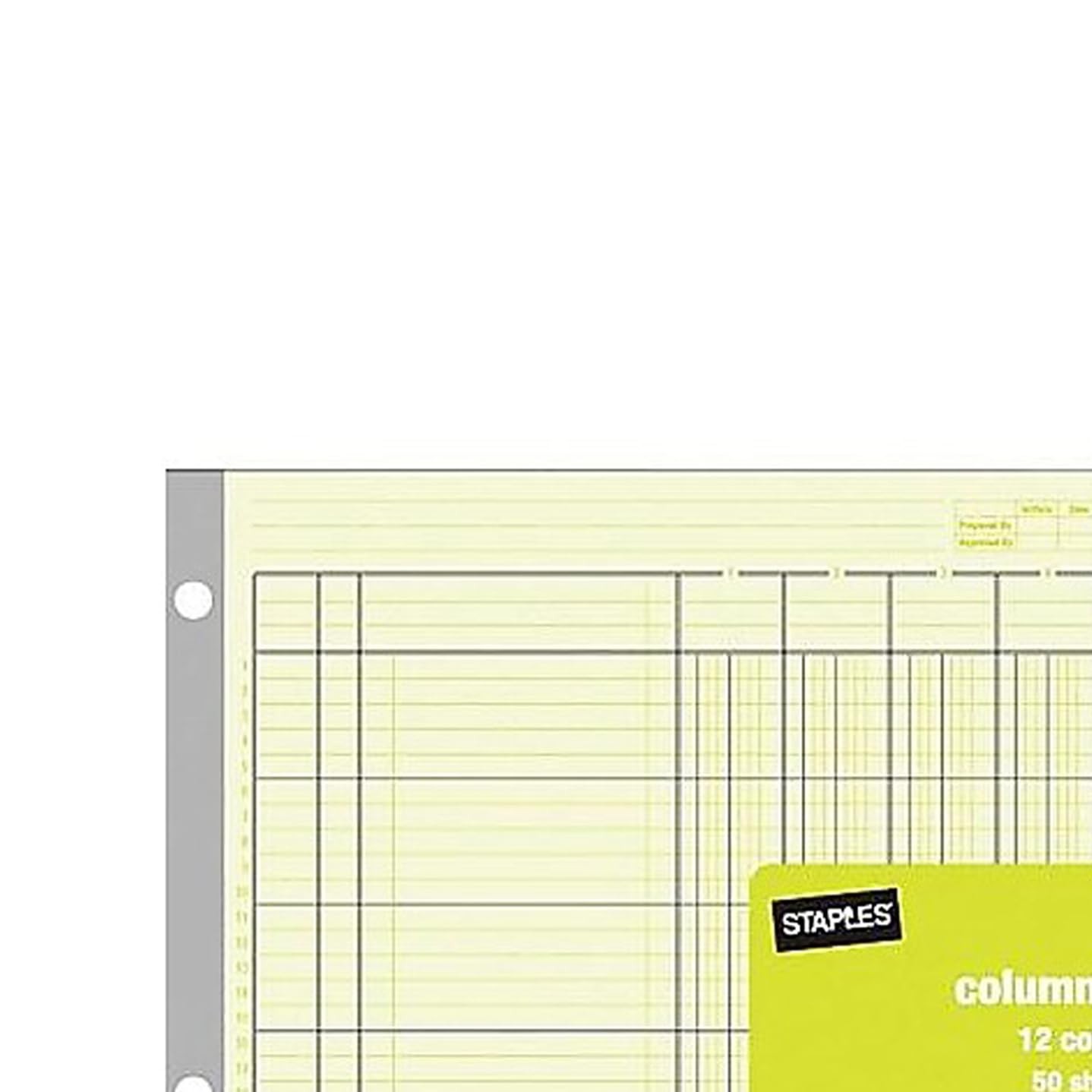 Staples® Columnar Book, 12 Columns, 16.31″ x 11″, Green, 50 Sheets/Book Green