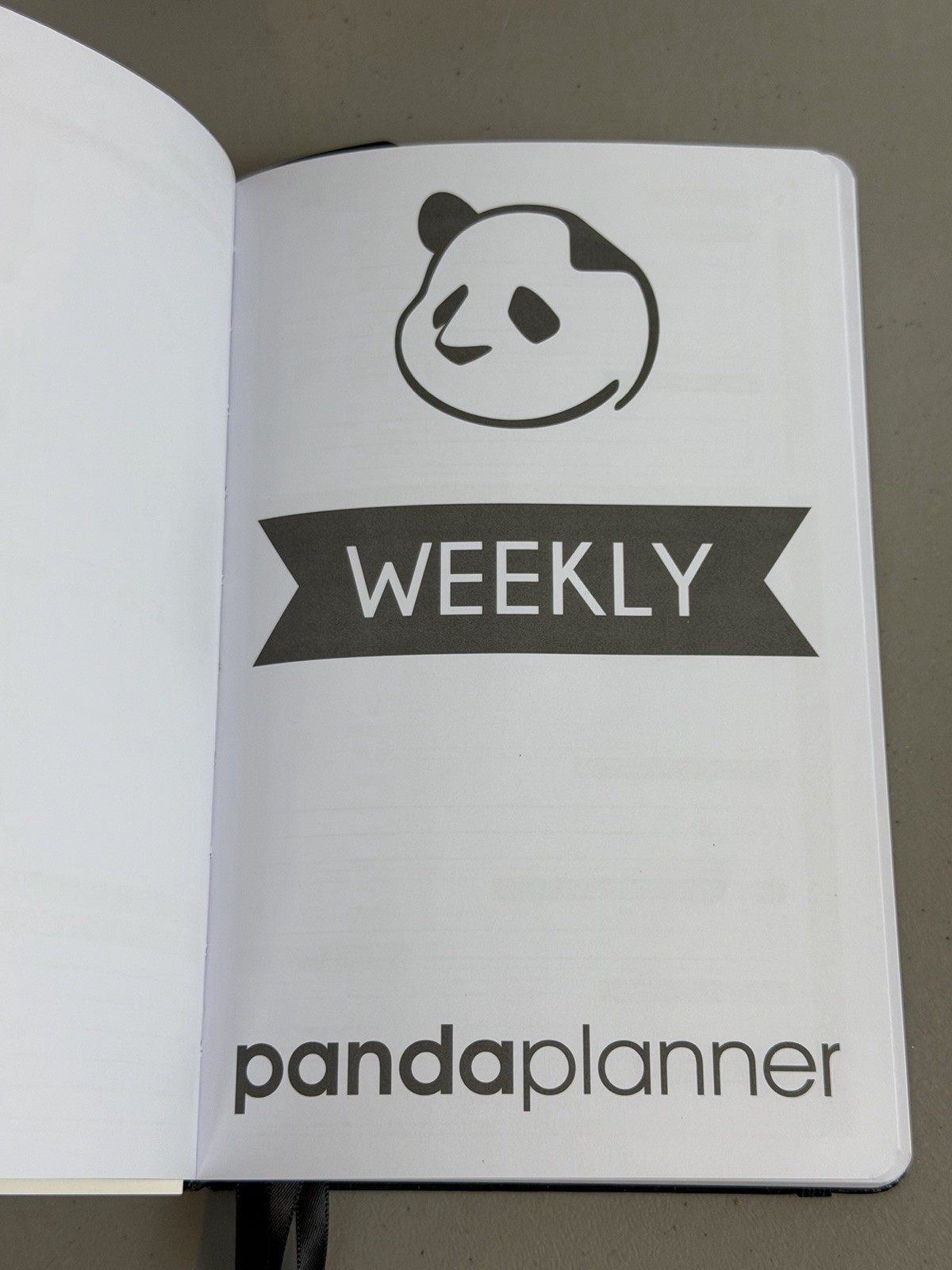 Panda Planner Cossa Planner Daily Monthly Weekly Undated Lot of 2