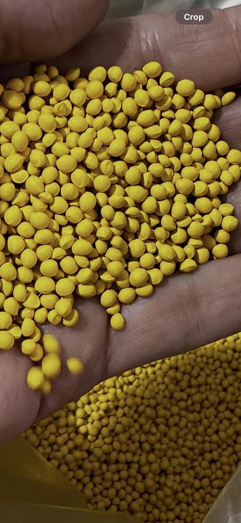 EVA Yellow Color Concentrate Plastic Pellets Colorant for PP PE TPE TPV PBT 5 lb